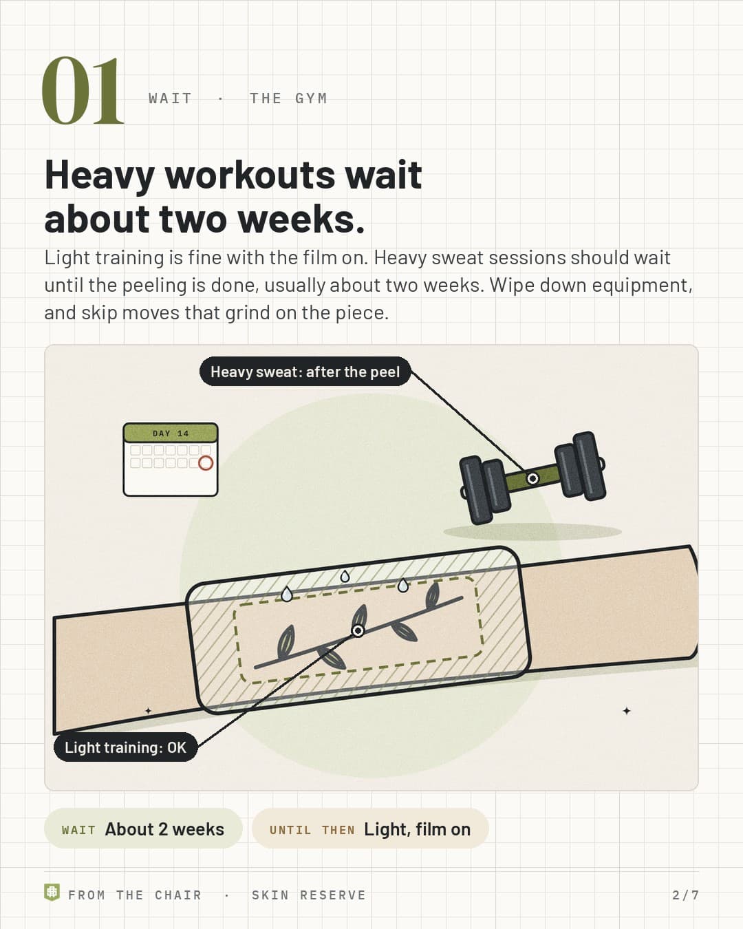 01, the gym: a dumbbell beside a filmed forearm tattoo with light sweat, labeled Light training OK and Heavy sweat after the peel