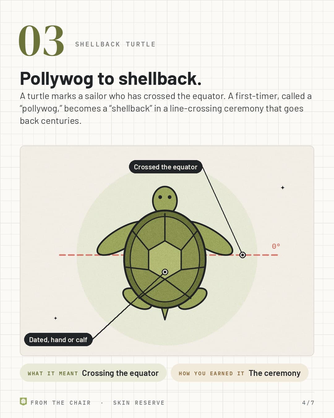 Shellback turtle: a sea turtle on a dashed equator line, labeled Crossed the equator and Dated, hand or calf